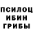Галлюциногенные грибы MAGIC MUSHROOMS Alisher Nozimov