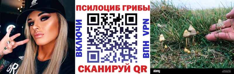 Галлюциногенные грибы Psilocybe Пыть-Ях
